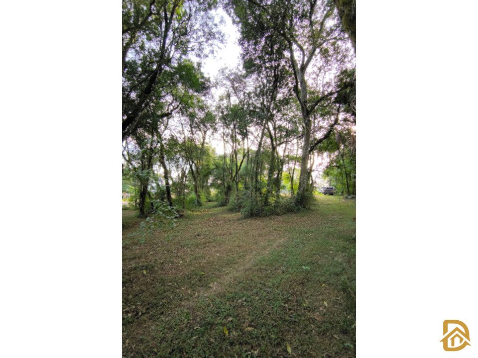 ÁREA EM VILA FLORES 