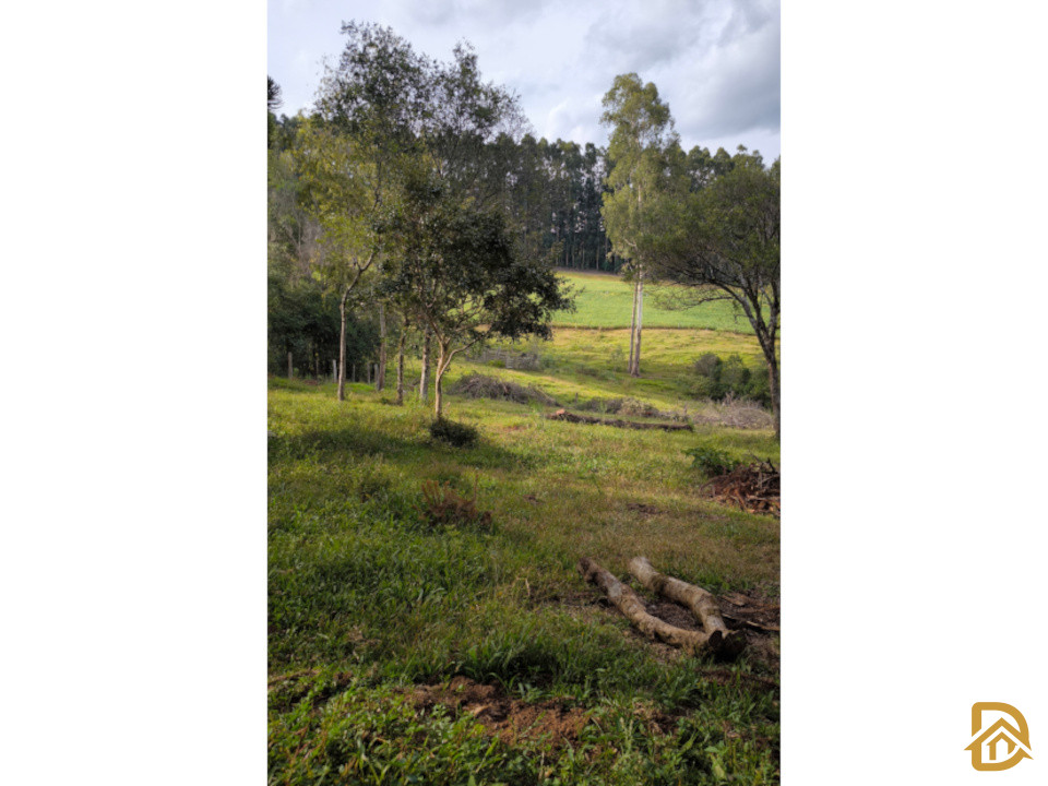 ÁREA DE SÍTIO EM VILA FLORES 